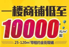 熱度持續(xù)不減！10000元/平米起買真金現(xiàn)鋪